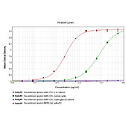 Anti-SARS-CoV-2 Spike Protein (RBD) (RABBIT) Antibody