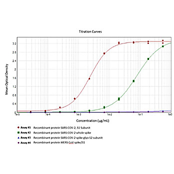 Anti-SARS-CoV-2 Spike Protein (RBD) (RABBIT) Antibody