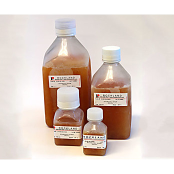 BOVINE/CALF SERUM (sterile)