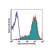 Anti-CD69 (Armenian Hamster) Phycoerythrin Conjugated Monoclonal Antibody