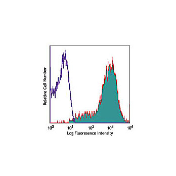 Anti-CD69 (Armenian Hamster) Phycoerythrin Conjugated Monoclonal Antibody