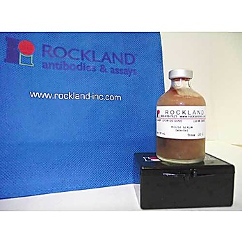 MOUSE SERUM (sterile)