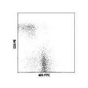 Anti-CD19 (RAT)  Conjugated Monoclonal Antibody