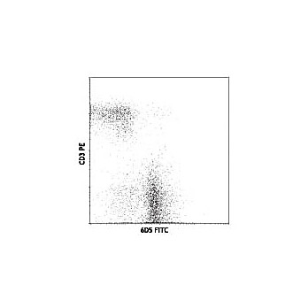 Anti-CD19 (RAT)  Conjugated Monoclonal Antibody