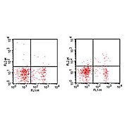 CD25 Phycoerythrin Antibody [PC61]