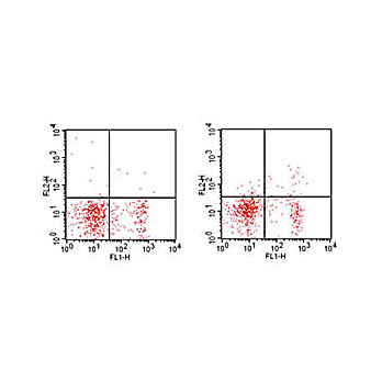 CD25 Phycoerythrin Antibody [PC61]