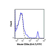 CD8a Fluorescein Antibody [53-6.7]