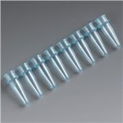 PCR Reaction Tube Strips