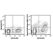 Anti-F4/80 (RAT) Fluorescein Conjugated Monoclonal Antibody