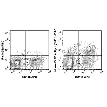 Anti-F4/80 (RAT) Fluorescein Conjugated Monoclonal Antibody
