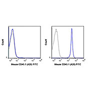 Anti-CD45.1 (MOUSE)  Conjugated Monoclonal Antibody