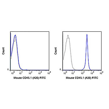 Anti-CD45.1 (MOUSE)  Conjugated Monoclonal Antibody