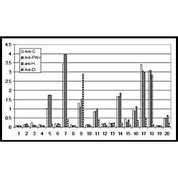 Anti-NAG-1 (H variant specific) (RABBIT) Antibody 
