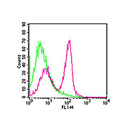 Anti-CD3 epsilon (ARMENIAN HAMSTER) Fluorescein Conjugated Monoclonal Antibody