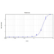 Anti-MUTAROTASE (Porcine Kidney) (RABBIT) Antibody Peroxidase Conjugated
