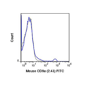 Anti-CD8a (RAT)  Conjugated Monoclonal Antibody