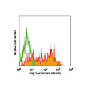 Anti-CD25 (RAT)  Conjugated Monoclonal Antibody