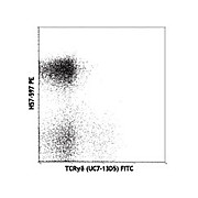 Anti-TCRbeta (Armenian Hamster) Phycoerythrin Conjugated Monoclonal Antibody