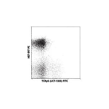 Anti-TCRbeta (Armenian Hamster) Phycoerythrin Conjugated Monoclonal Antibody