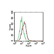 Anti-Human IL-17E (MOUSE) Monoclonal Antibody