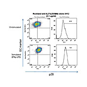 Anti-Mouse IL-27/p28 (RAT) Monoclonal Antibody
