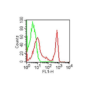 Anti-CD4 (RAT) Monoclonal Antibody Fluorescein Conjugated
