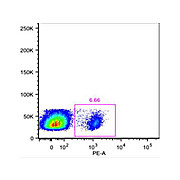 Fluorescent Activated Cell Sorting (FACS) and Immunofluorescence (IF) Staining Buffer with FBS