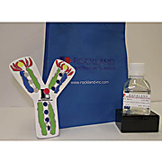 20% (w/v) Sodium Dodecyl Sulfate (SDS)