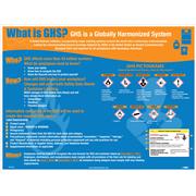 Poster, GHS Intro, 18x24, Label & Pictograms