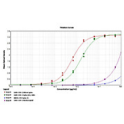 SARS-CoV-2 Whole Spike Protein Antibody