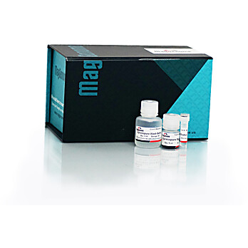 XpressPure Beads - PCR Cleanup Kit