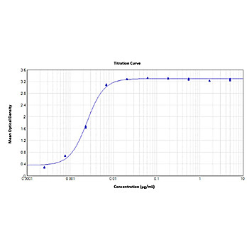 SARS-CoV-2 Nucleocapsid (N) Protein Antibody Biotin Conjugated, 100µg, Lyophilized