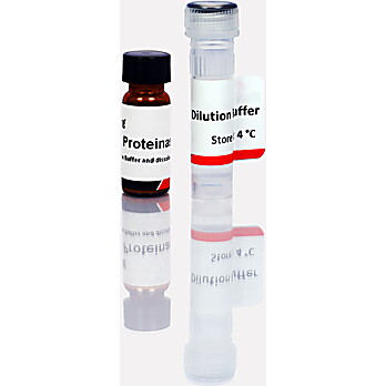 Proteinase K (20 mg/ml)