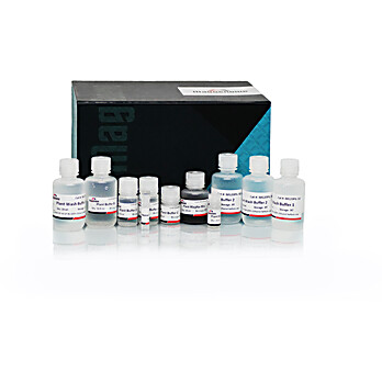 XpressDNA Plant Kit