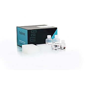 XpressAutomag Saliva DNA Kit 