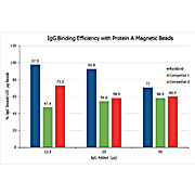 TrueBlot® Protein A Magnetic Beads