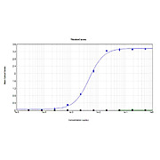 SARS-CoV-2 Nucleocapsid (N) Protein Antibody, 100µg, Liquid (sterile filtered)