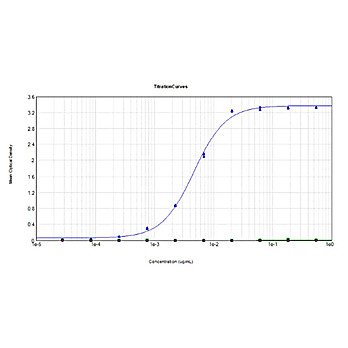 SARS-CoV-2 Nucleocapsid (N) Protein Antibody, 100µg, Liquid (sterile filtered)