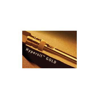 Hypersil GOLD aQ Analytical HPLC Columns, 5µm Particle Size