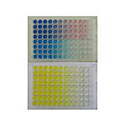 TMB PRESTAINED RED ELISA PEROXIDASE SUBSTRATE