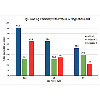 TrueBlot® Protein G Magnetic Beads