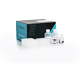 XpressAutomag Tissue DNA Kit 