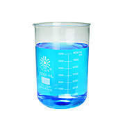 Glass Beaker, Low Form