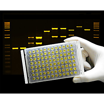 ThermalSeal® Films For Classic PCR