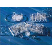 6.5mm Transwell® Polyester Membrane Insert, Sterile