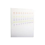 TLC Aluminium Oxide 60 F254, Basic