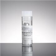 Epidermal Growth Factor (EGF), human recombinant, 100 µg