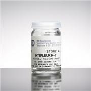 Interleukin-2 (IL-2), mouse recombinant, 25,000 BRMP units
