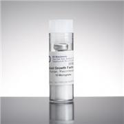 Basic Fibroblast Growth Factor (bFGF), human recombinant, 10 µg