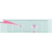 Microscope Slide-Wells
